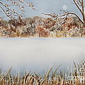 Marshall's Pond In Winter